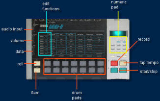 korg ddd1