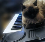 roland dj70 cat