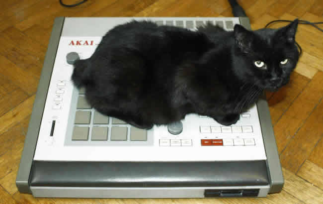 cat mpc60
