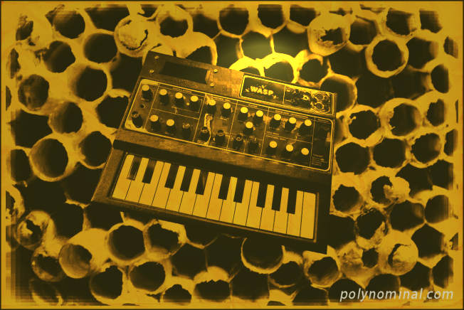 edp wasp synth