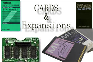ram and rom cards for synthesizers