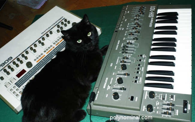 cat tr909