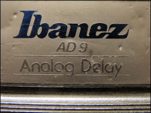 delay logo from ibanez