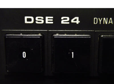 dse 24 logo