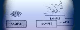 sample