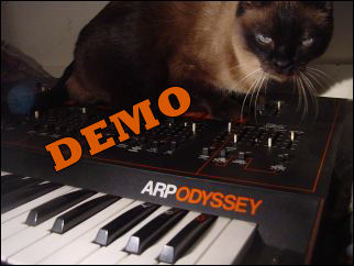 cat on the synth!
