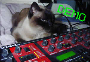 cat and synth
