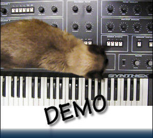 cat on synthex