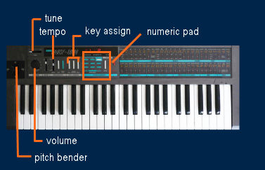 tech poly800