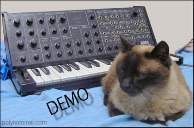 korg ms20 and nice cat