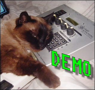 cats on sidstation