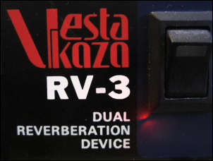 dual reverberation device