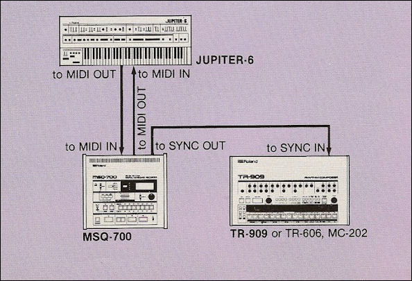 Roland MSq700 and jupiter8