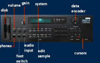 dsm1