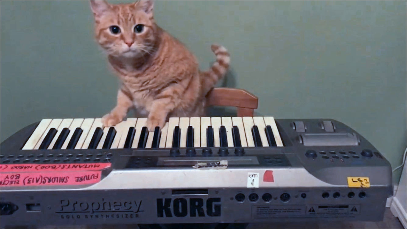 Korg Prophecy 見事な コルグ PROPHECY 鍵盤楽器