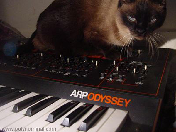 arp odyssey