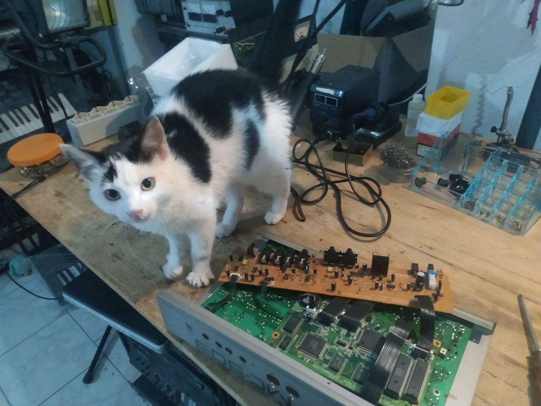 Roland MC-303 repair | Polynominal.com
