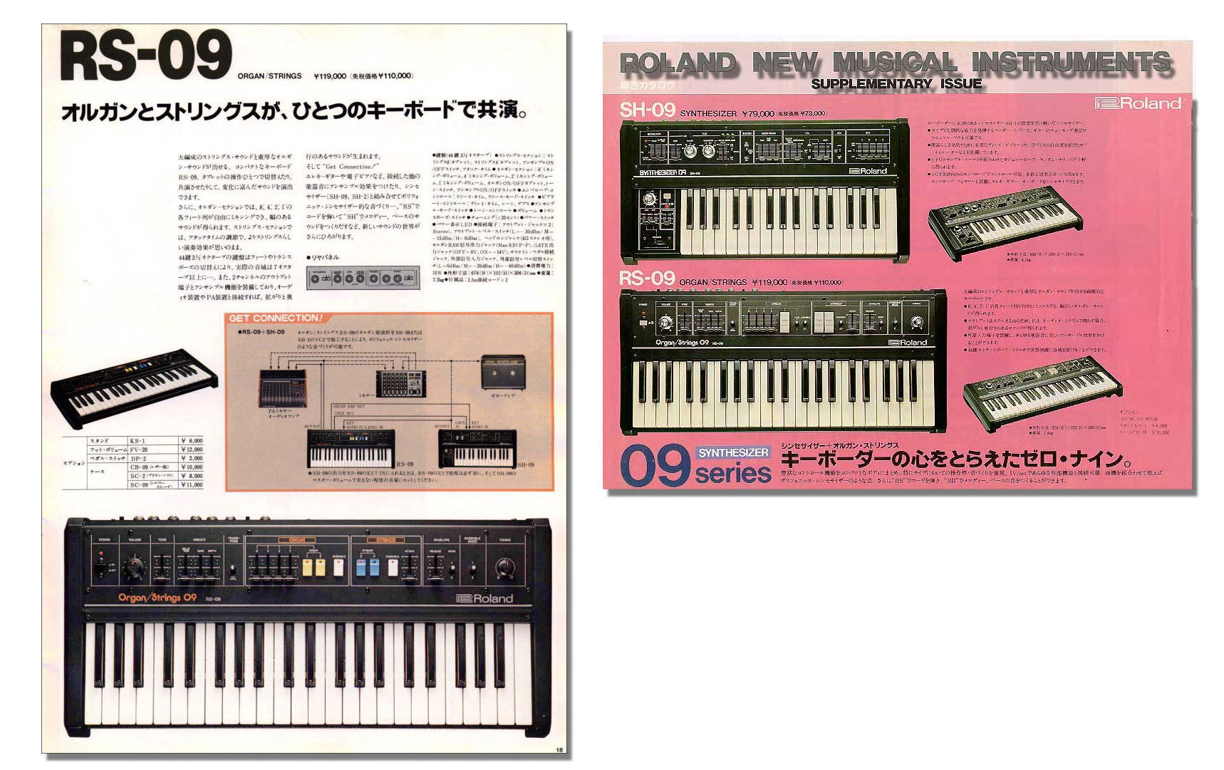 Roland RS-09 アナログシンセサイザー Amazon | Roland Organ/Strings