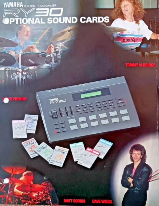 Yamaha Ry-30 (1991) Sample pack- Free Download | Polynominal.com