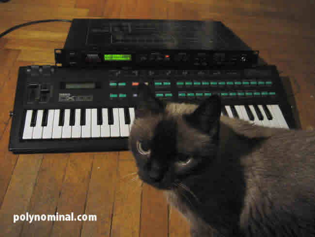 yamaha tx81z