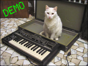 sh09 audio demo with cat